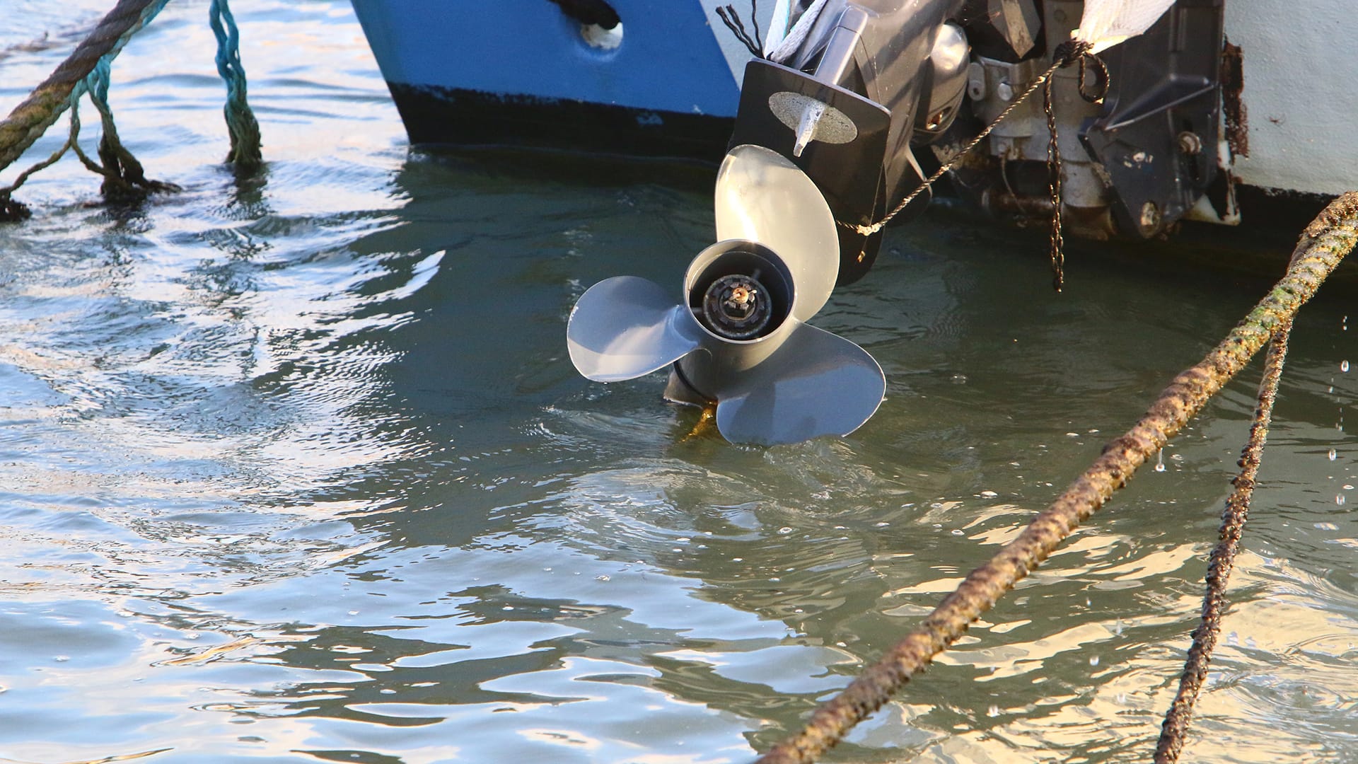 Movement in Propellers 