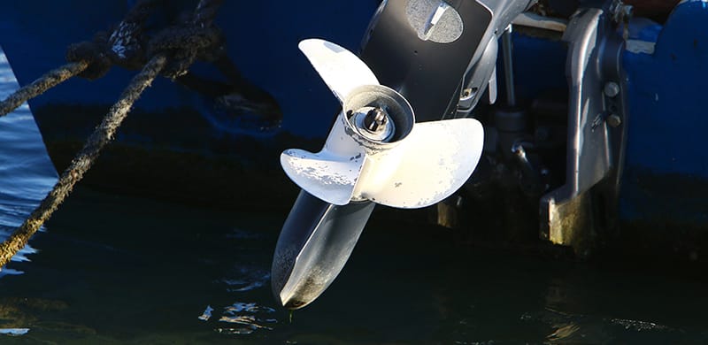 Marine Expert Checking Propeller Clearance Depth