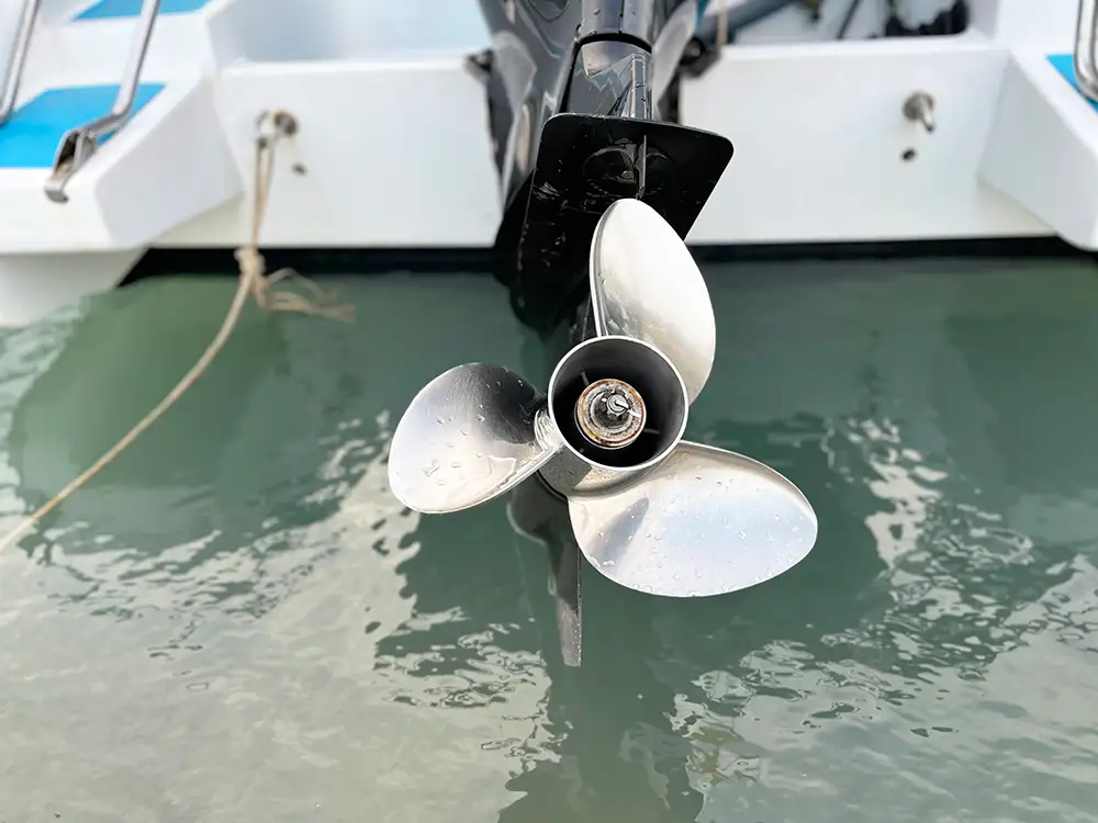 Stuffing Box vs Dripless Seal Comparison